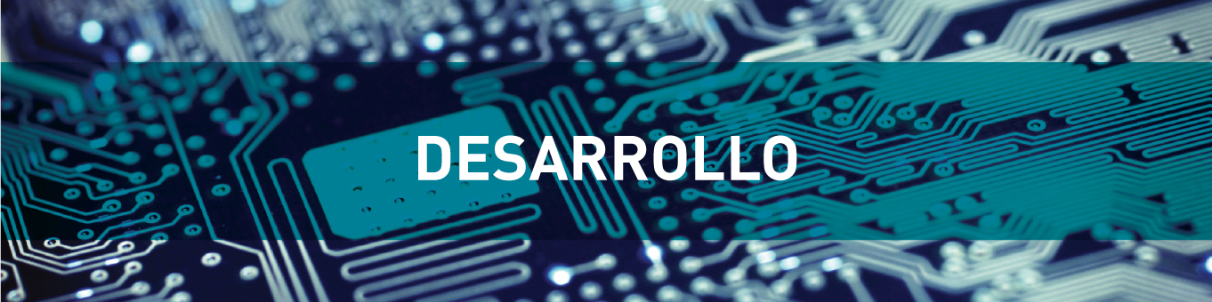 Desarrollo